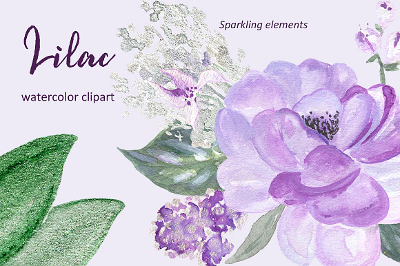 Lilac Soft purple watercolor clipart in Illustrations - product preview 2
