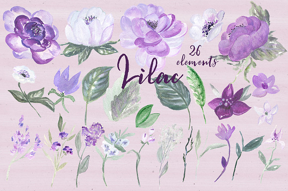 Lilac Soft purple watercolor clipart in Illustrations - product preview 4