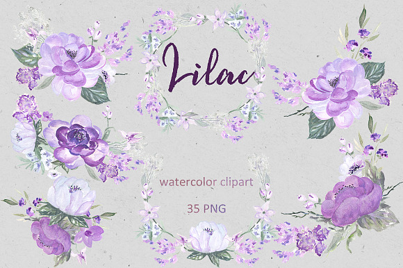 Lilac Soft purple watercolor clipart in Illustrations - product preview 5