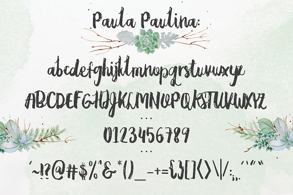Paula Paulina Script in Script Fonts - product preview 5