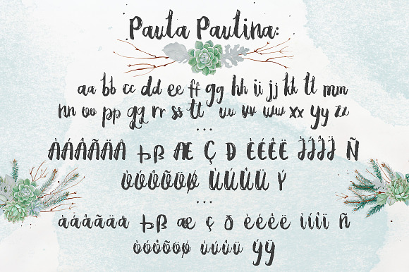 Paula Paulina Script in Script Fonts - product preview 6