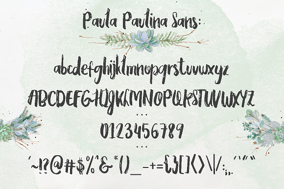 Paula Paulina Script in Script Fonts - product preview 7