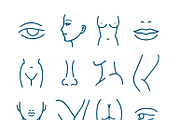 Human body parts vector line icons