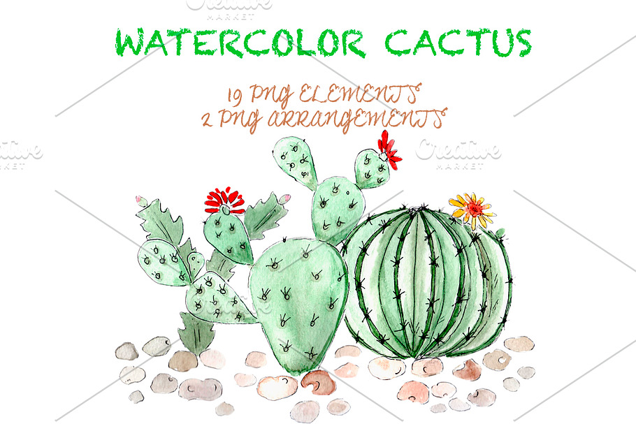 Watercolor and Ink Cactus