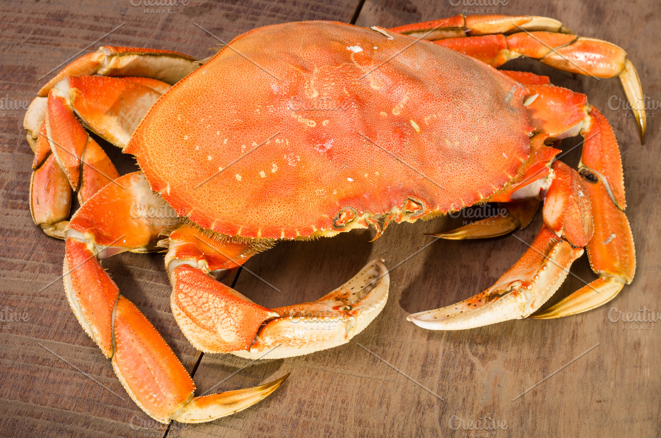Dungeness Crab ready to cook | High-Quality Food Images ~ Creative Market