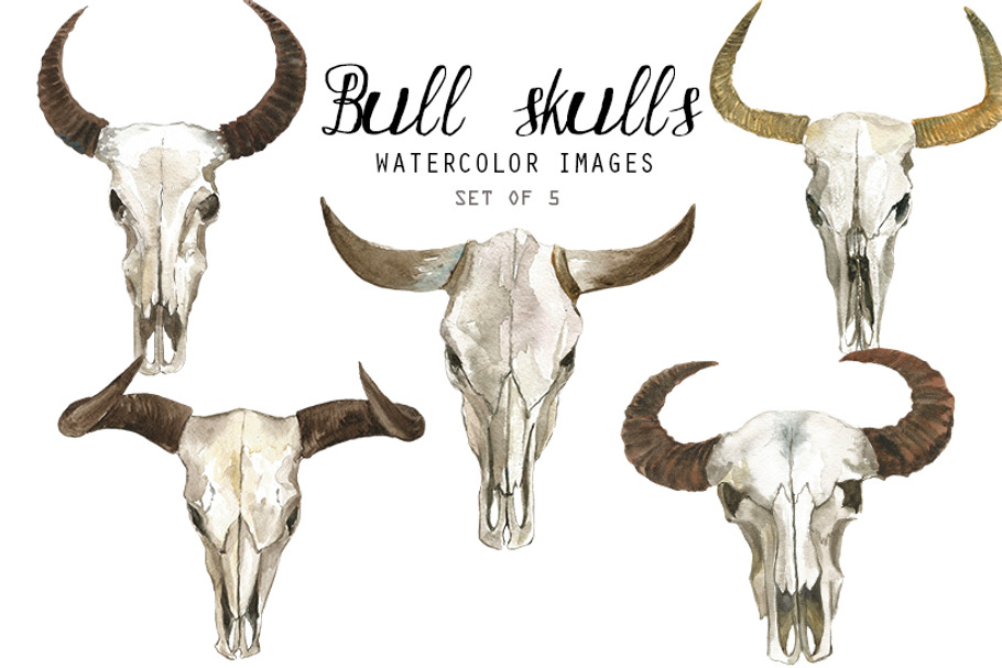 Watercolor Bull Skulls