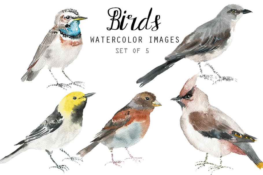 Watercolor Birds II
