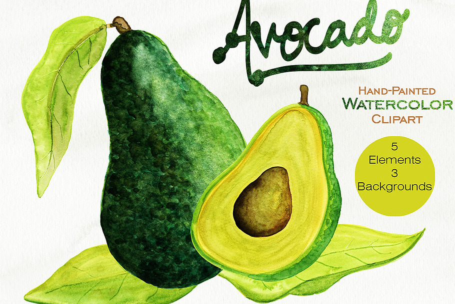 Watercolor Avocado Graphic Set