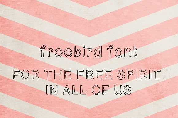 Freebird Font in Display Fonts - product preview 3