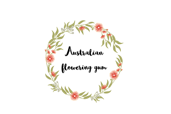 Australian Flowering Gum clip art