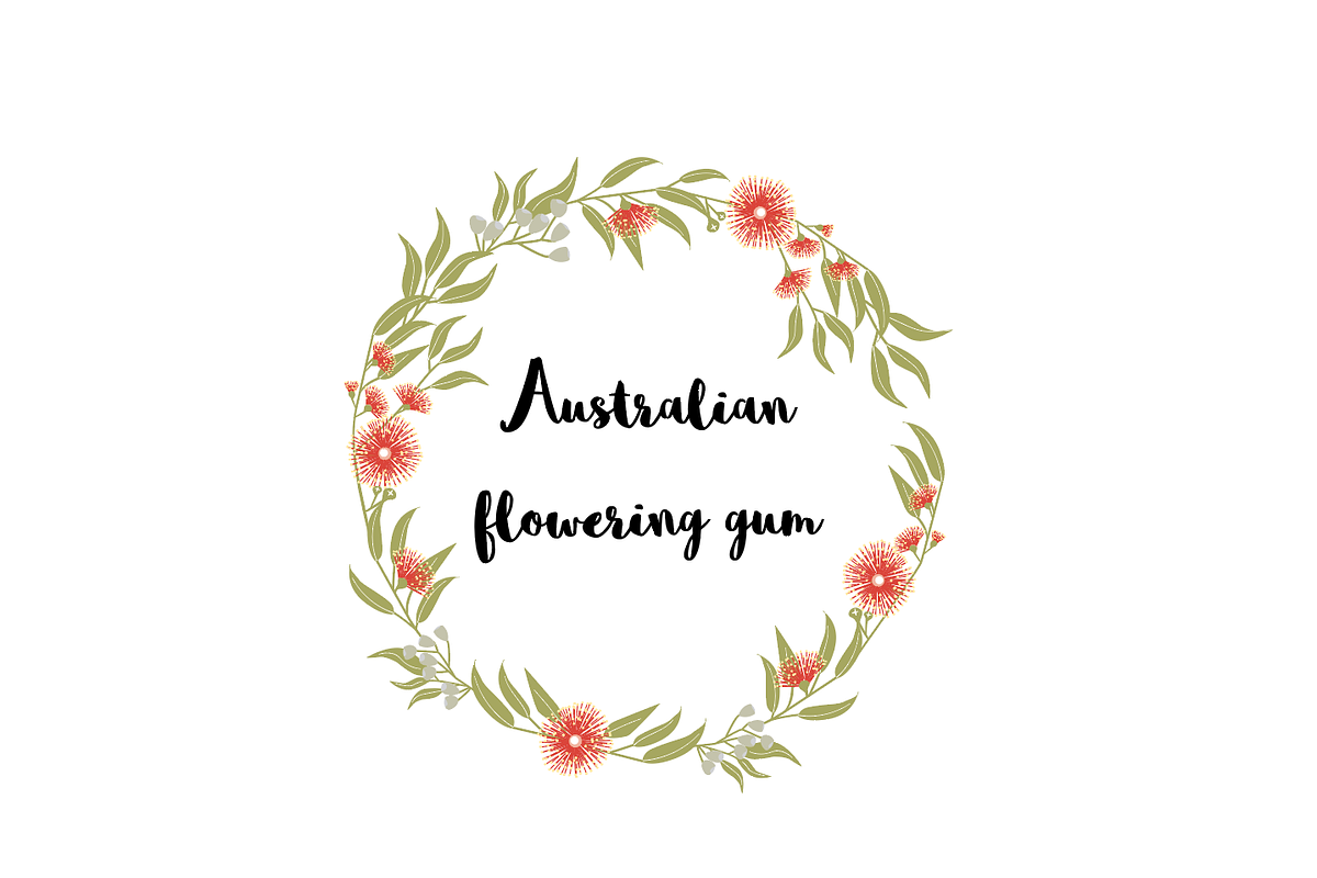 Australian Flowering Gum clip art in Illustrations - product preview 8