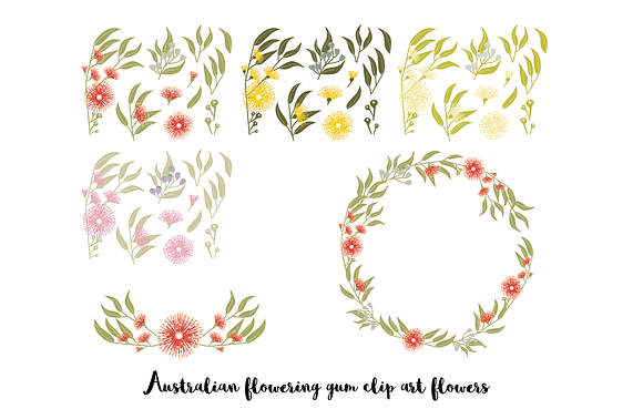 Australian Flowering Gum clip art in Illustrations - product preview 1