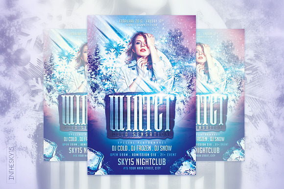 Winter Cold Sensation Flyer Template in Flyer Templates - product preview 3