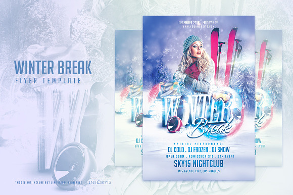 Winter Flyer Bundle in Flyer Templates - product preview 1