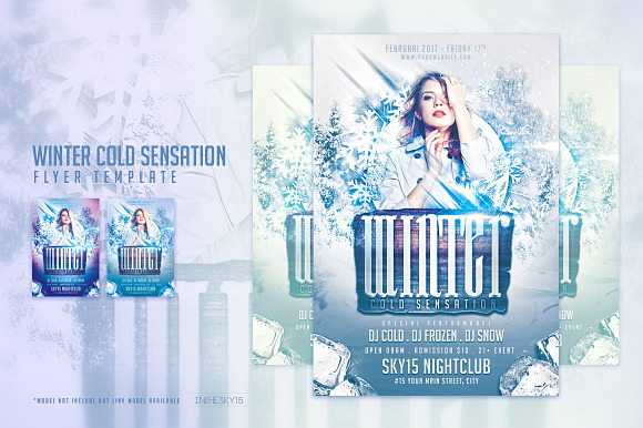 Winter Flyer Bundle in Flyer Templates - product preview 4
