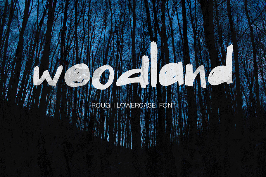 Wooland - rough lowercase font in Display Fonts - product preview 8