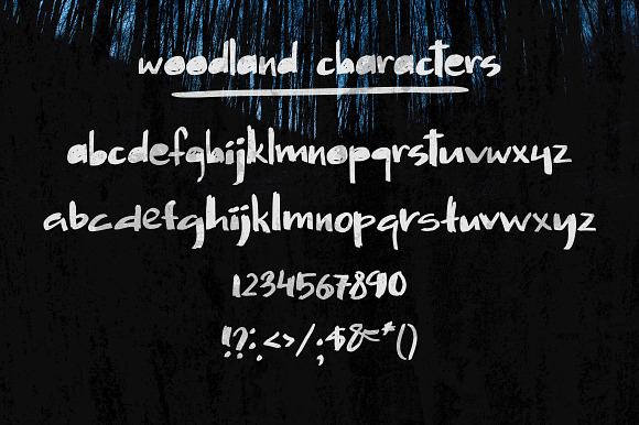 Wooland - rough lowercase font in Display Fonts - product preview 1