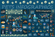 Pets and veterinary infographic