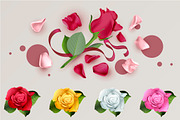 Rose flower petals set