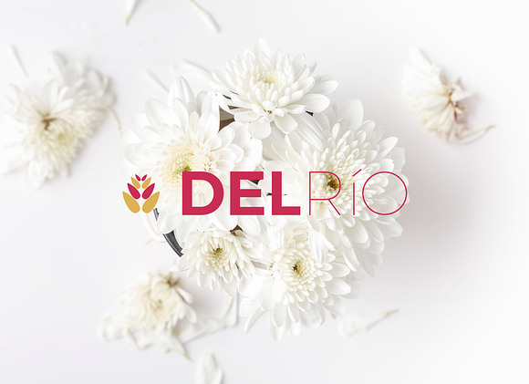 Logo & Brand Kit - Del Río in Logo Templates - product preview 3