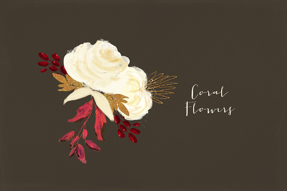 Coral Flowers in Illustrations - product preview 1