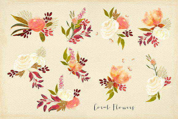 Coral Flowers in Illustrations - product preview 3