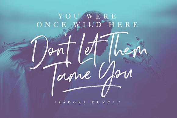 Wild Spirit Font in Script Fonts - product preview 1