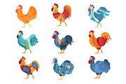 Rooster Similar Drawings Set Colored In Different Styles