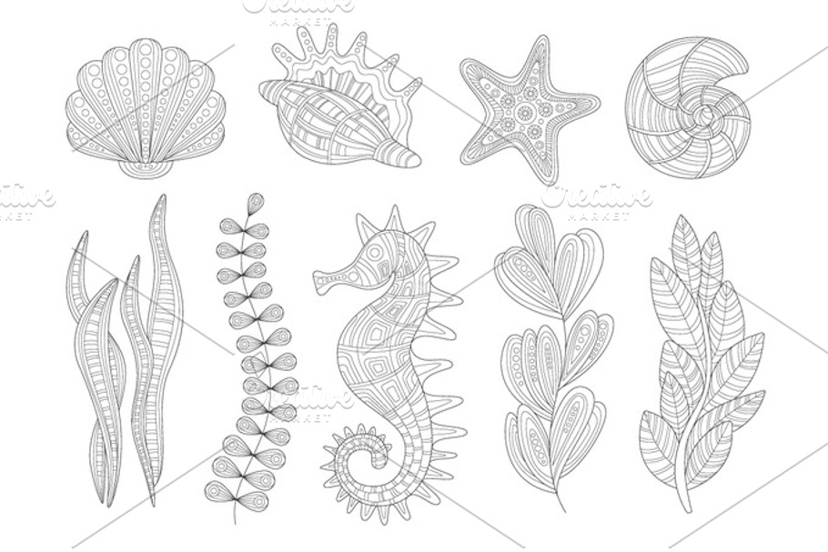 Underwater Nature Set Adult Zentangle Coloring Book Illustration in Illustrations - product preview 8