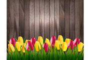 Nature spring background