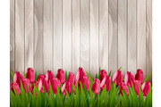 Nature spring background