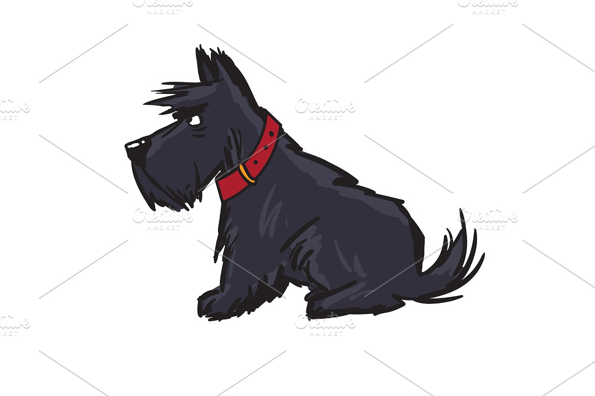 scottish terrier in Illustrations - product preview 8