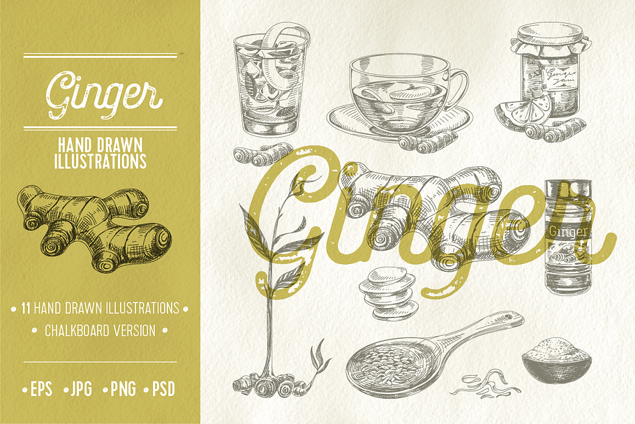 Hand drawn ginger illustrations in Illustrations - product preview 8