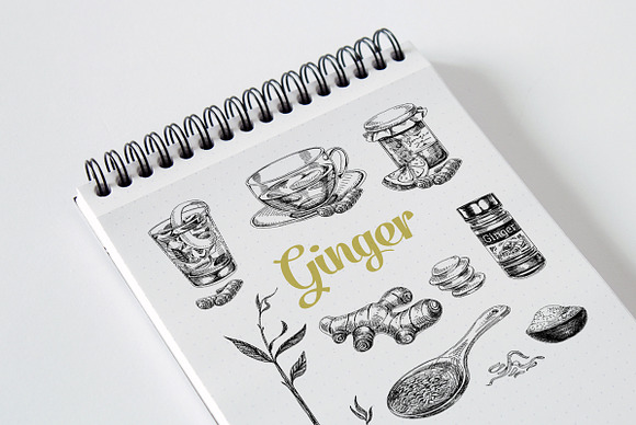 Hand drawn ginger illustrations in Illustrations - product preview 2