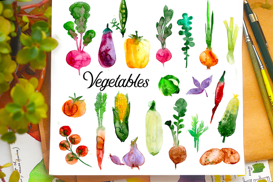 Watercolor Vegetables colored in Illustrations - product preview 8
