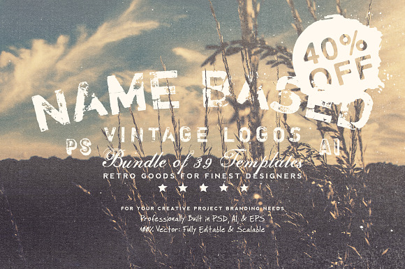 NameBased Vintage Logos Bundle Vol.1 in Logo Templates - product preview 3