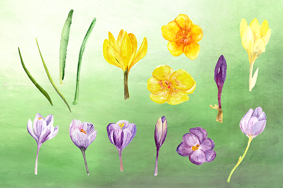 Spring Melody Watercolor Clipart Set in Objects - product preview 1
