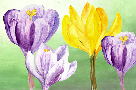 Spring Melody Watercolor Clipart Set in Objects - product preview 2