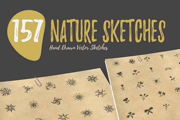 150+ Hand Drawn Nature Sketches