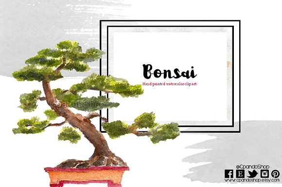 Bonsai Feng shui in Illustrations - product preview 1