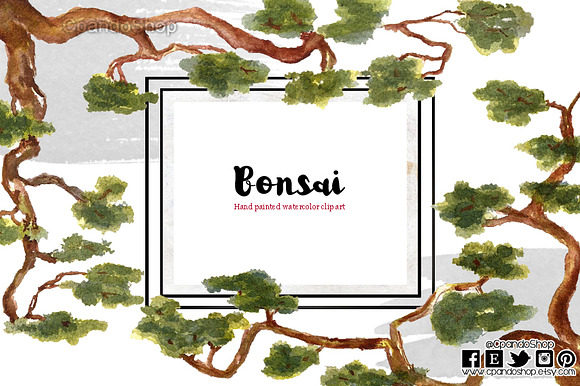 Bonsai Feng shui in Illustrations - product preview 2