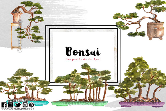 Bonsai Feng shui in Illustrations - product preview 3