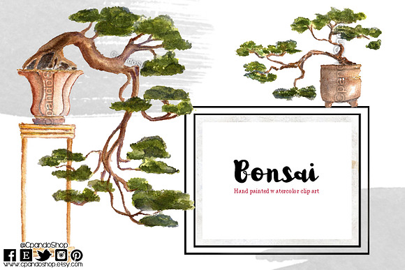 Bonsai Feng shui in Illustrations - product preview 6