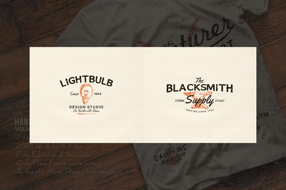 Hand Drawn Vintage Logos Volume 1 in Logo Templates - product preview 4