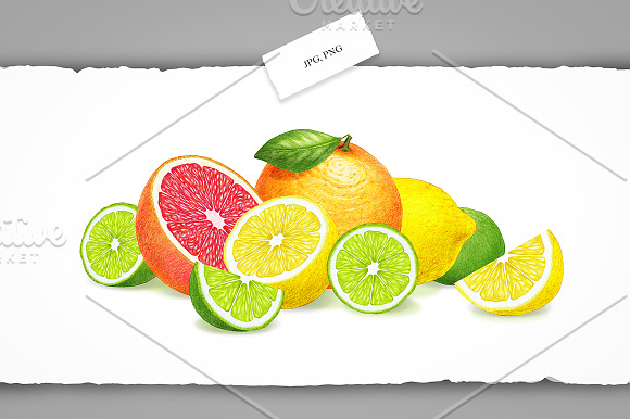 Citrus Collection in Illustrations - product preview 5