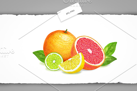 Citrus Collection in Illustrations - product preview 6