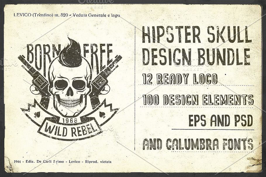 Hipster Skull Design Bundle in Logo Templates - product preview 8