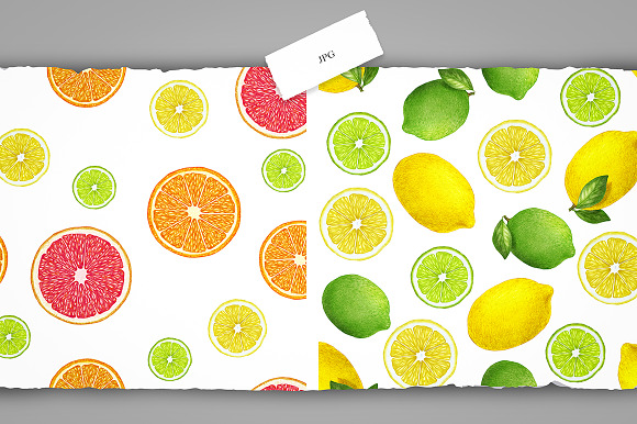 Citrus Collection in Illustrations - product preview 9