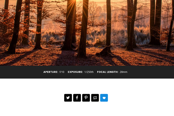 Exposure Tumblr Theme in Tumblr Themes - product preview 1