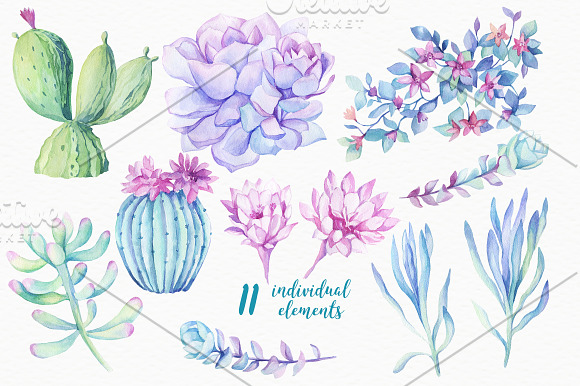 Succulents & Cactuses in Illustrations - product preview 3